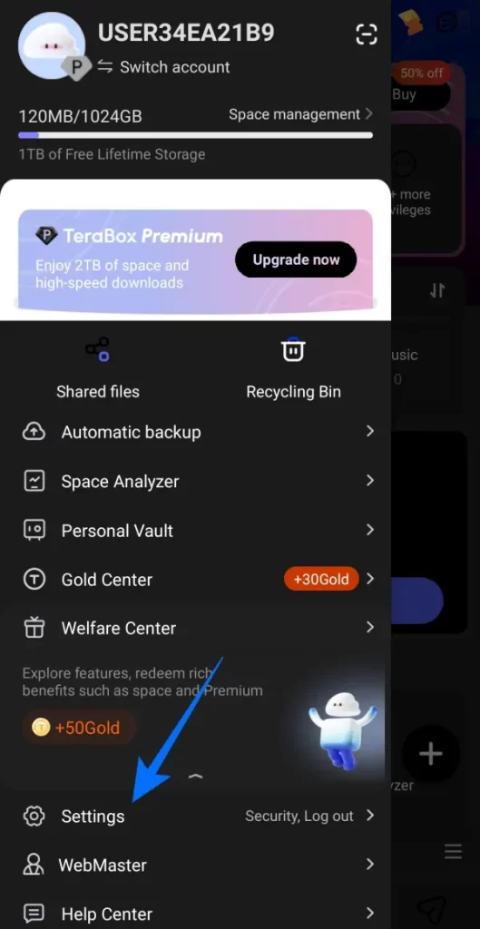 Opening Terabox Settings